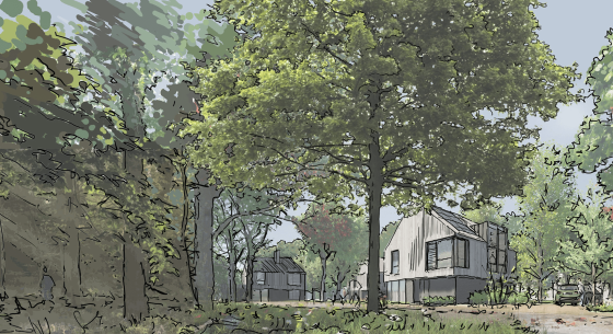 Glebe Woods Housing