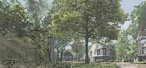 Glebe Woods Housing